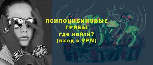 спайс Арсеньев