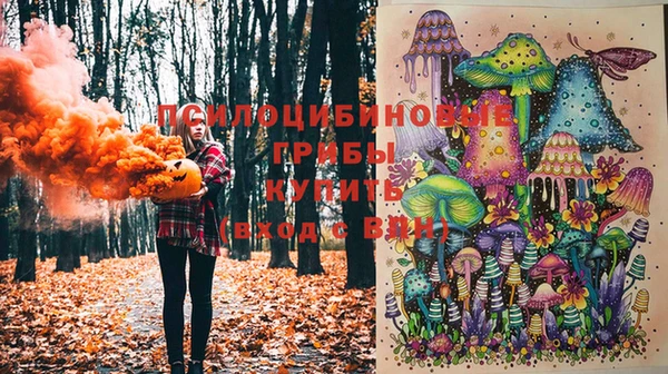 прущий лед Михайловка
